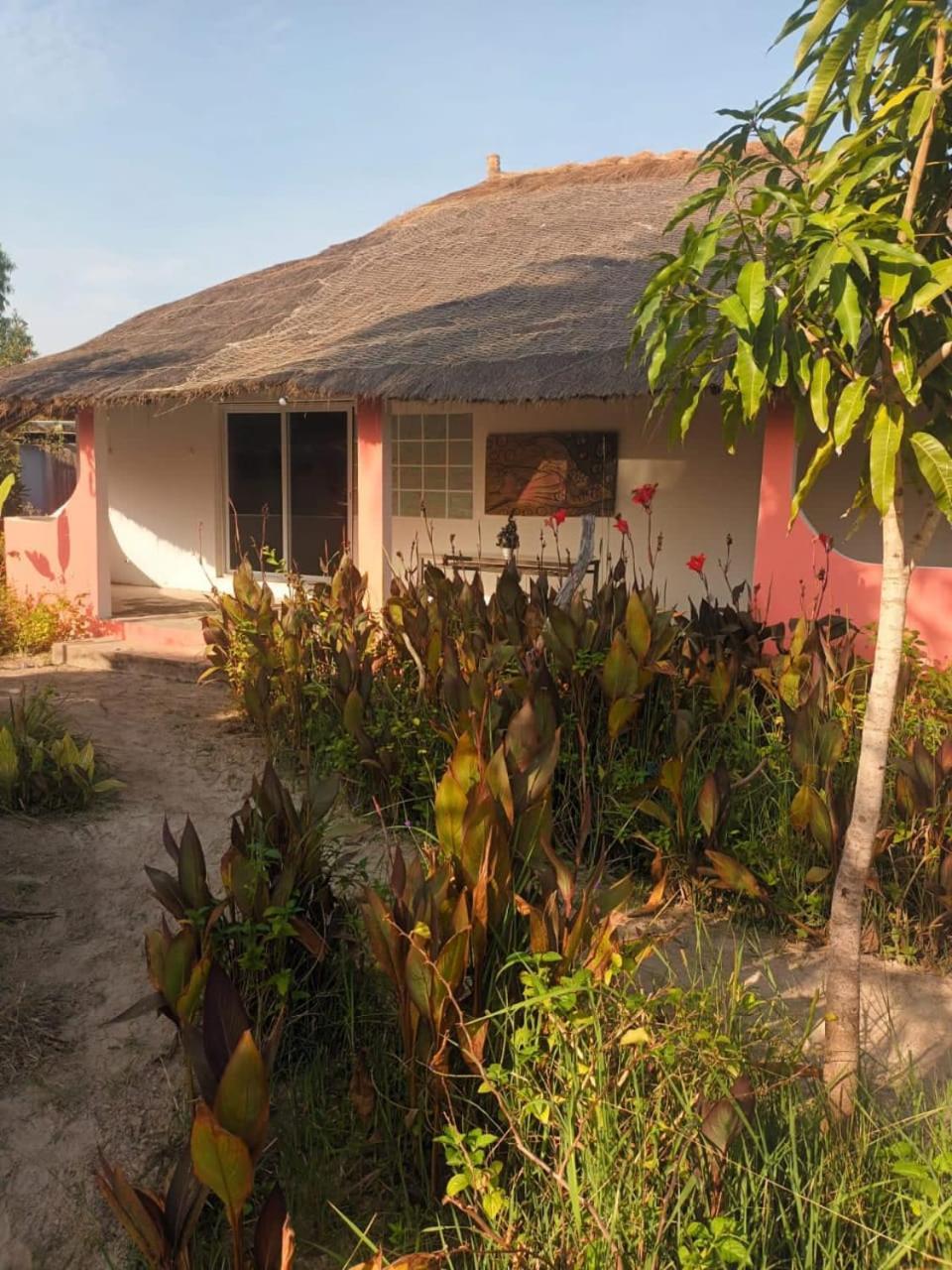 Campement Graine De Paradis Kachiouane ภายนอก รูปภาพ